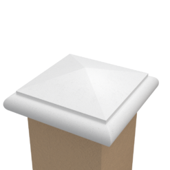 CC1 - Image 2