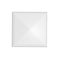 CC1 - Image 3