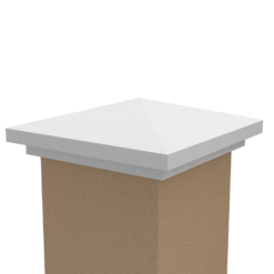 CC2 - Image 4